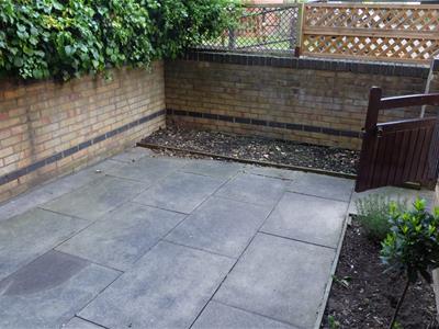 Picture 9